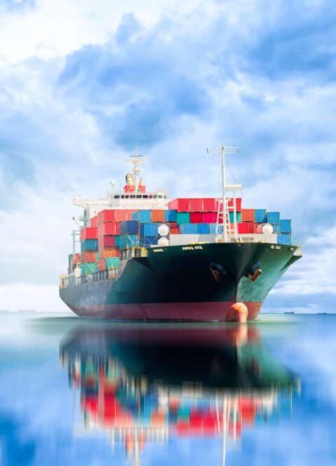 Container carrier for BIO-SEA M UV system